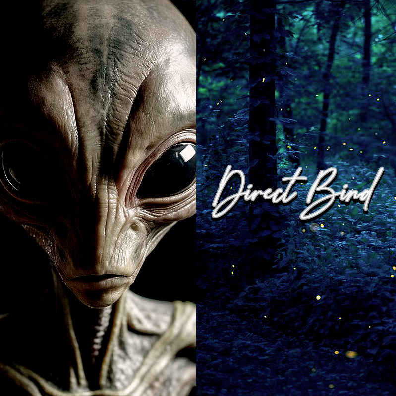 Ancient Male Grey Alien, Living Entity, Direct Bind